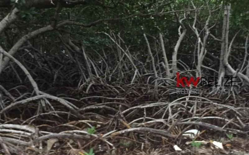 listing image with ID 103362