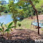 listing image thumbnail with ID 102463