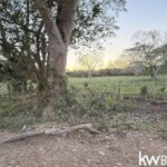 listing image thumbnail with ID 103266