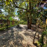 listing image thumbnail with ID 95366