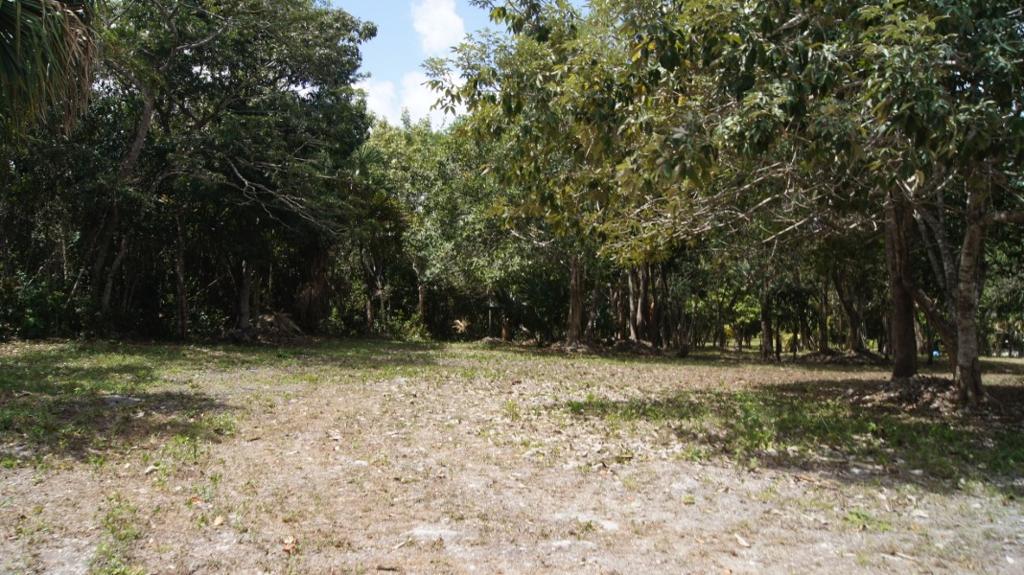 listing image with ID 100807