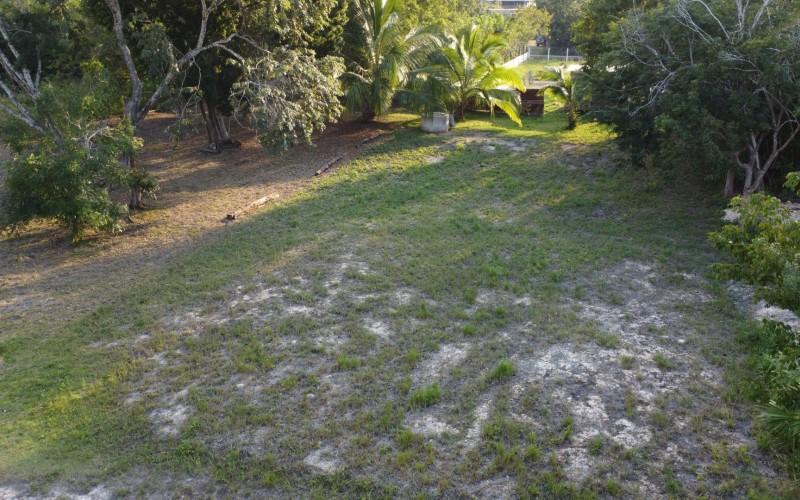 listing image with ID 83317