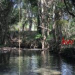 listing image thumbnail with ID 90244