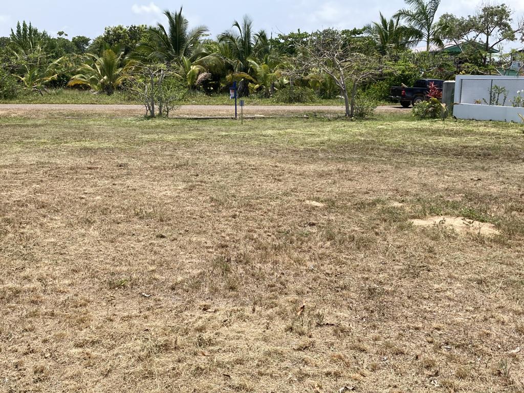 listing image with ID 105090