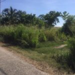 listing image thumbnail with ID 81946