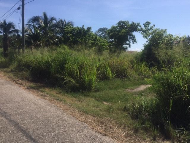 listing image with ID 81946