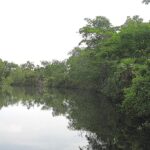 listing image thumbnail with ID 90142