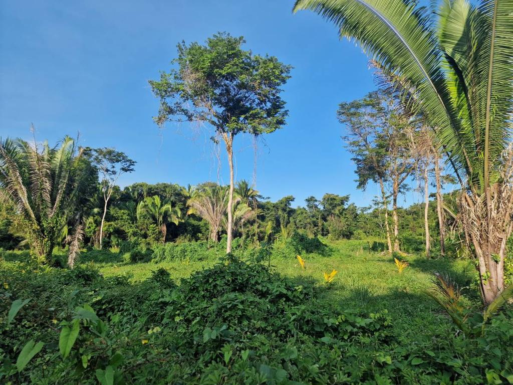 listing image with ID 76929