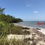 listing image thumbnail with ID 80301