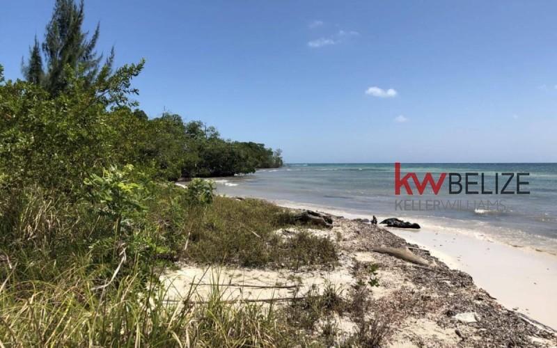listing image with ID 80301