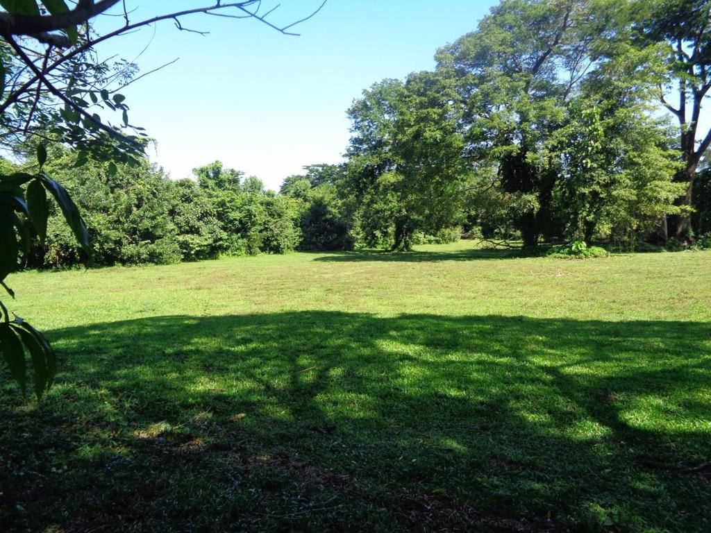 listing image with ID 104419