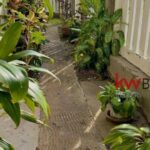 listing image thumbnail with ID 88449