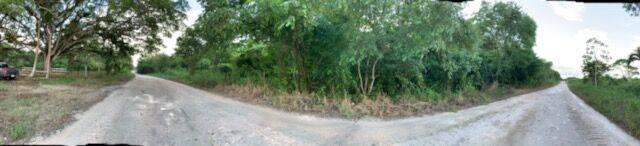 listing image with ID 78956