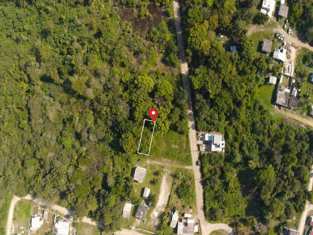 listing image with ID 95733