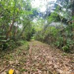 listing image thumbnail with ID 87179