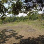 listing image thumbnail with ID 77859