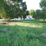 listing image thumbnail with ID 107420