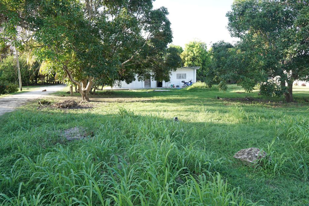 listing image with ID 107420
