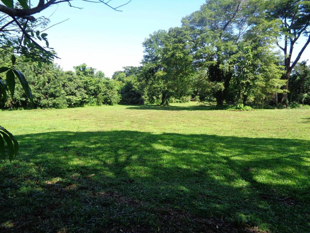 listing image with ID 104417