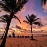 listing image thumbnail with ID 80781