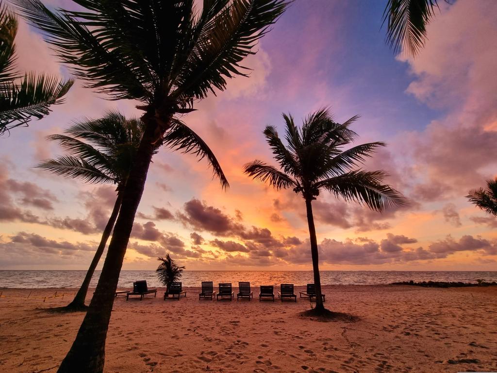 listing image with ID 80781