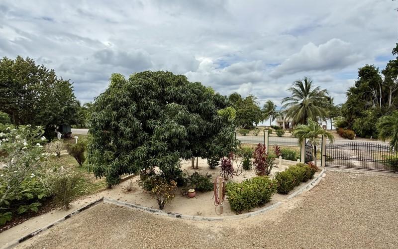 listing image with ID 96200