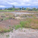listing image thumbnail with ID 94671