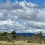 listing image thumbnail with ID 82584
