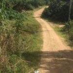 listing image thumbnail with ID 82562