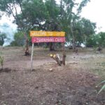 listing image thumbnail with ID 76954