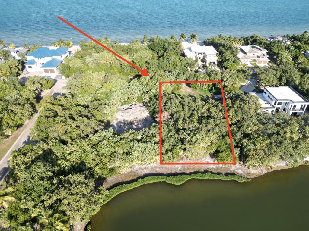 listing image with ID 102415
