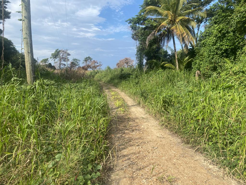 listing image with ID 77850