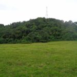 listing image thumbnail with ID 104438