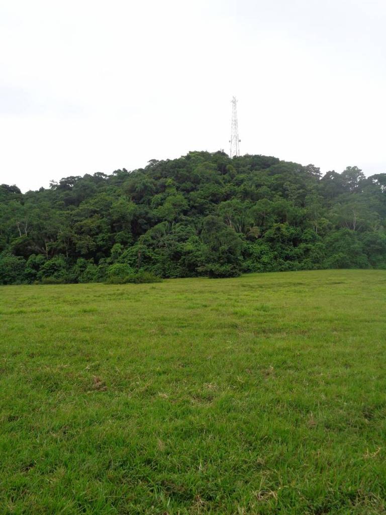 listing image with ID 104438