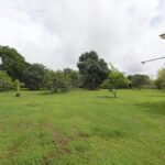 listing image thumbnail with ID 108247