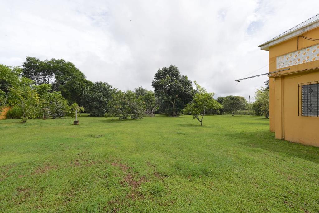 listing image with ID 108247