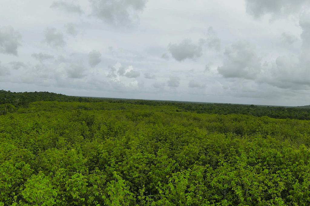 listing image with ID 81248