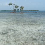 listing image thumbnail with ID 99354