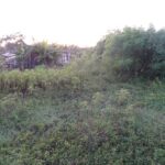 listing image thumbnail with ID 95599