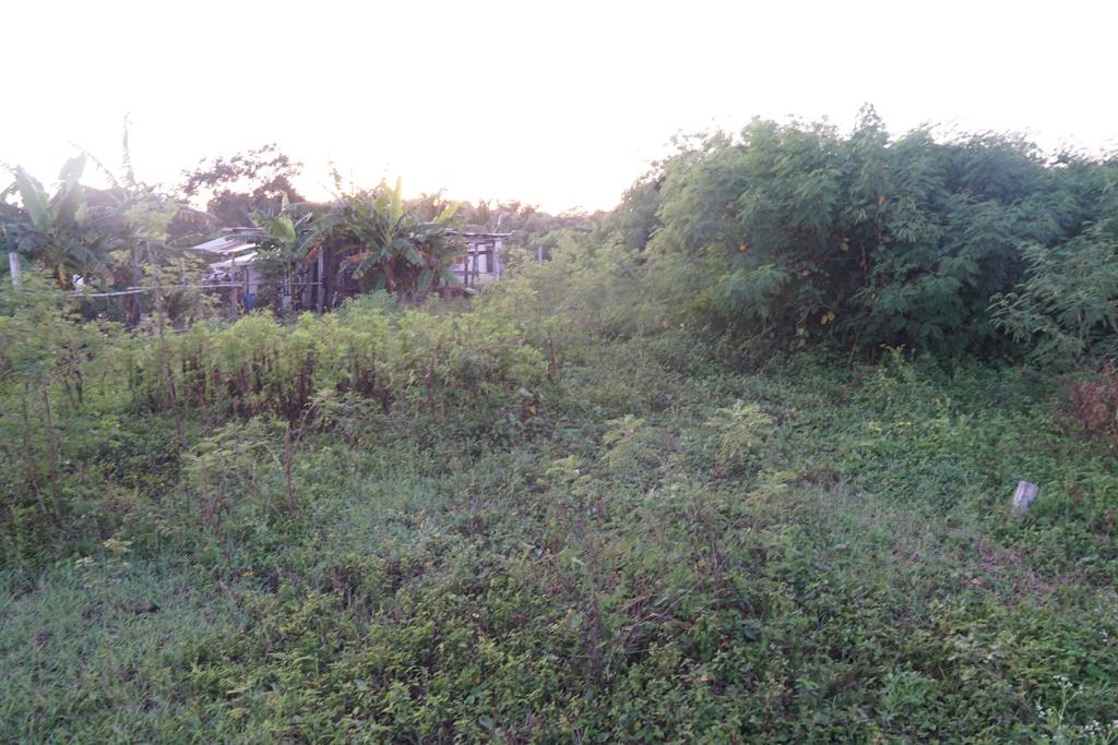 listing image with ID 95599