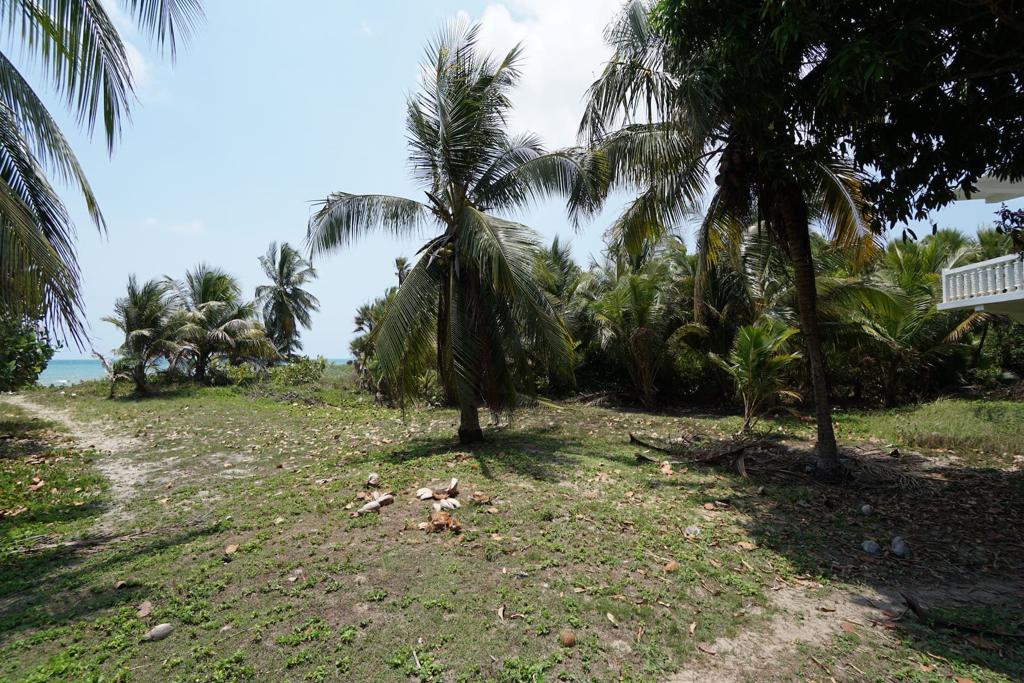 listing image with ID 84715