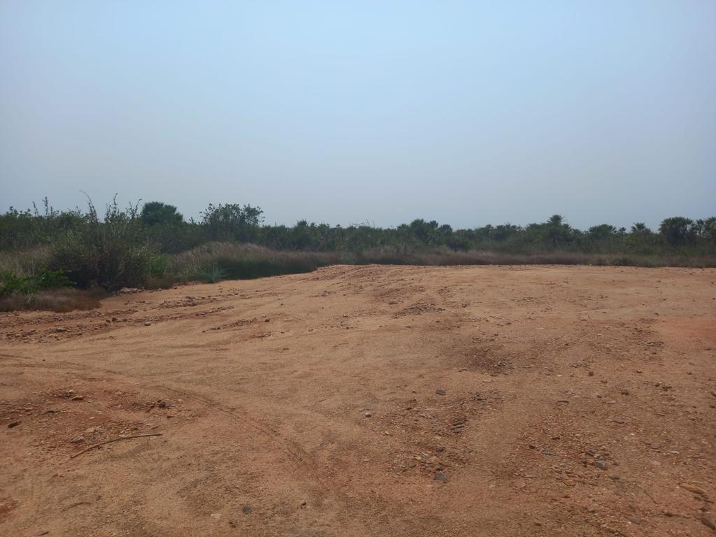 listing image with ID 90129