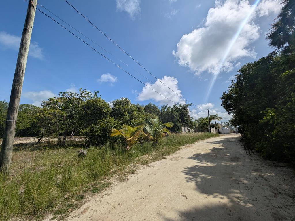 listing image with ID 78368