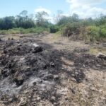 listing image thumbnail with ID 109208