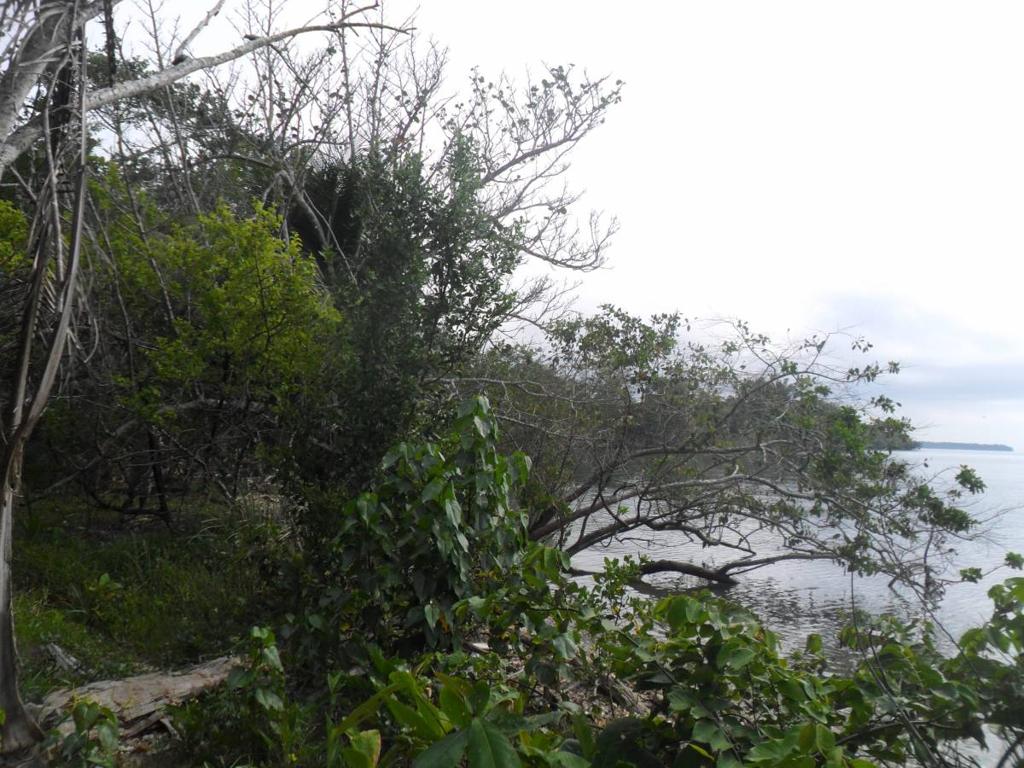 listing image with ID 82846