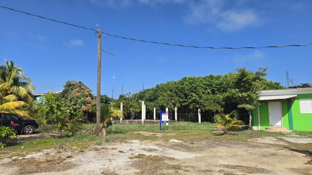 listing image with ID 99998
