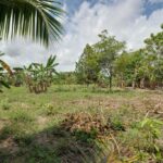 listing image thumbnail with ID 104805