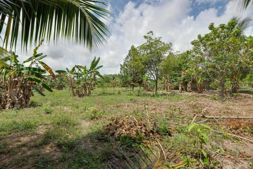 listing image with ID 104805