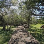listing image thumbnail with ID 88127