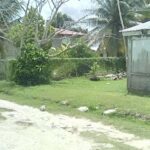 listing image thumbnail with ID 79743